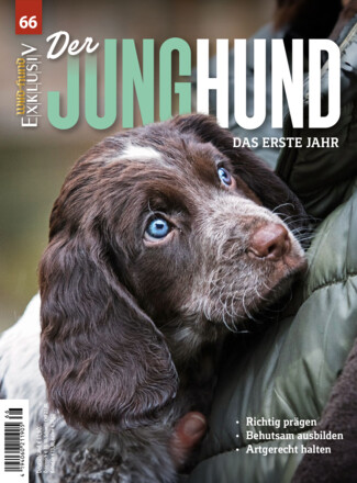 Wild und Hund EXKLUSIV
