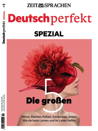 Deutsch perfekt - ePaper;