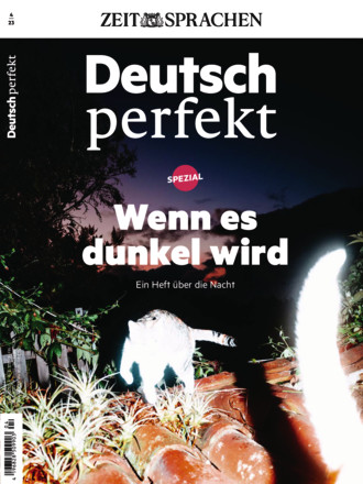 Deutsch perfekt - ePaper