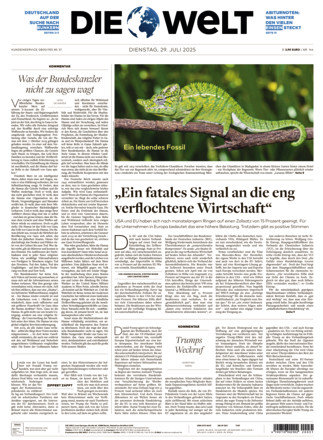 DIE WELT