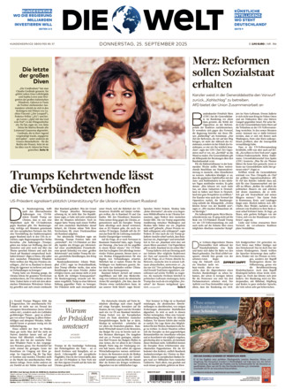 DIE WELT