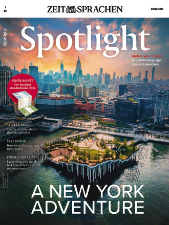 Spotlight